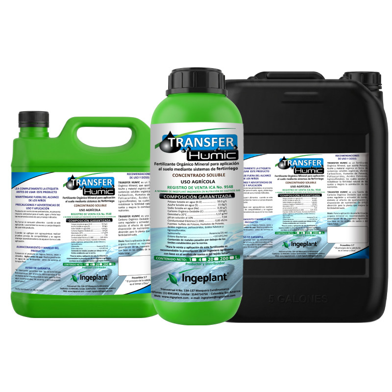 Transfer HUMIC
